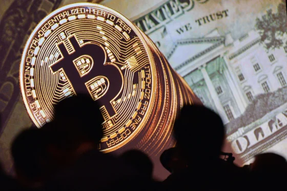 How Much Bitcoin Should I Buy?