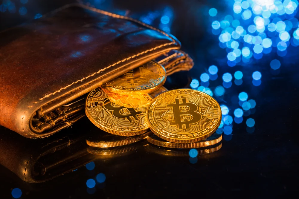 Understanding Bitcoin Wallets