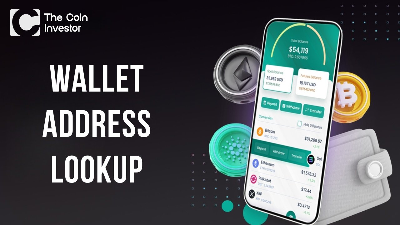 Wallet Address Lookup