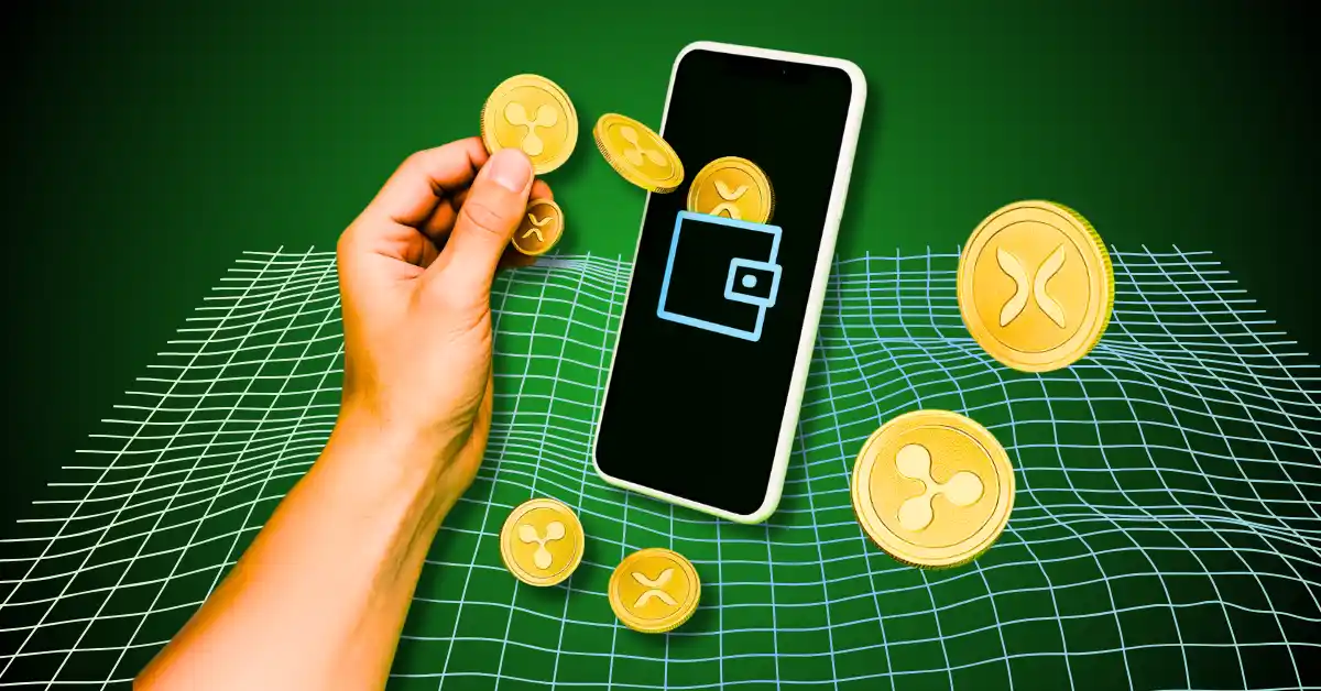 What is an XRP Rich List Calculator?