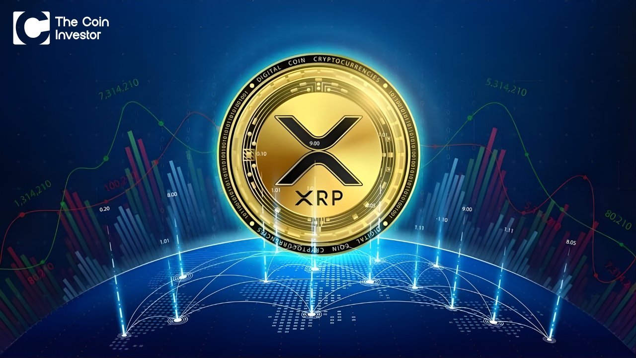 XRP Rich List Calculator